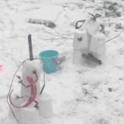 Modern 21st Century Snowpeople